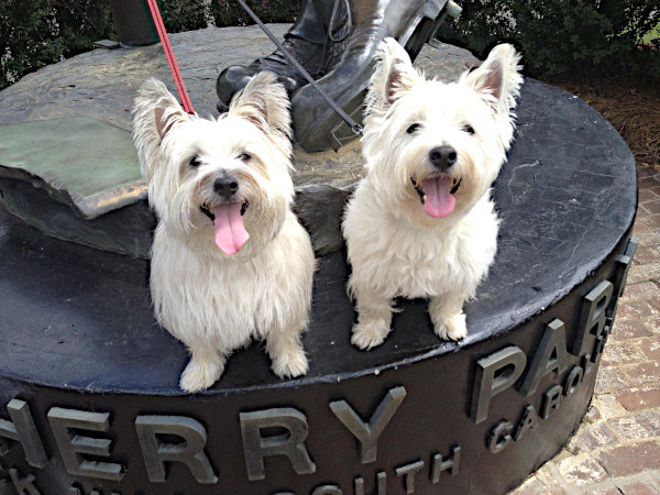 two dogs sitting at base of statue