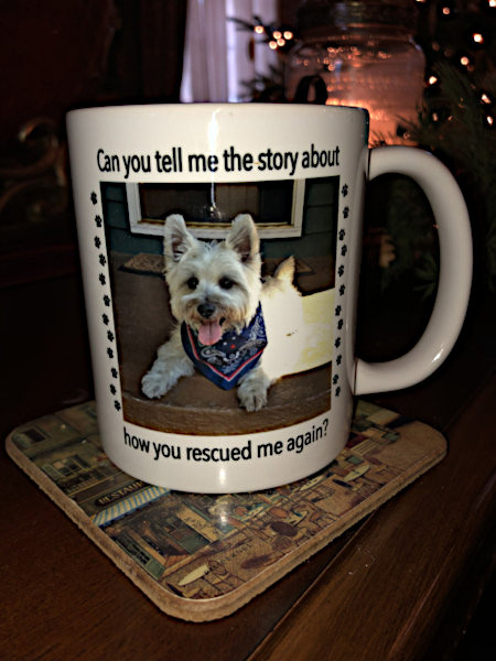 Can You Tell Me the Story About How You Rescued Me Again