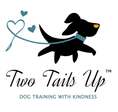 two-tails-up-llc-logo-400x381