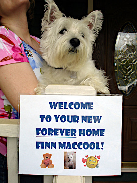 Welcome to Your New Forever Home